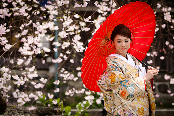 京都前撮り 桜の季節03