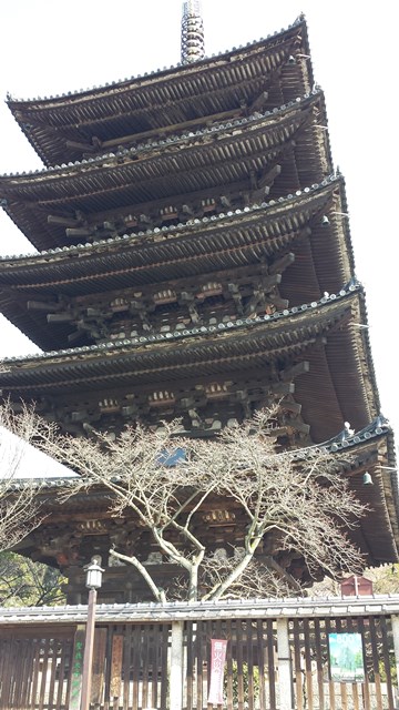 京都を代表する八坂の塔