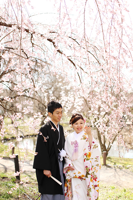 前撮り京都ロケ 桜の植物園