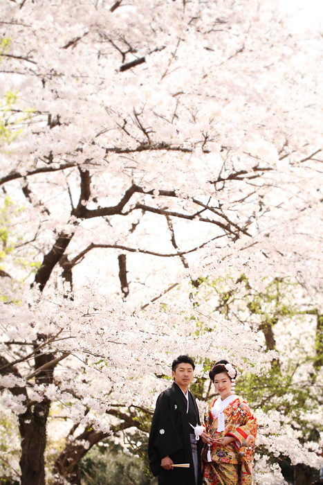 桜の季節の和装前撮り