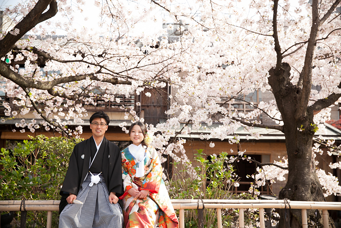 満開の桜の下で京都前撮り
